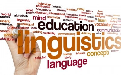 methodology teacher guide CAE idiomas