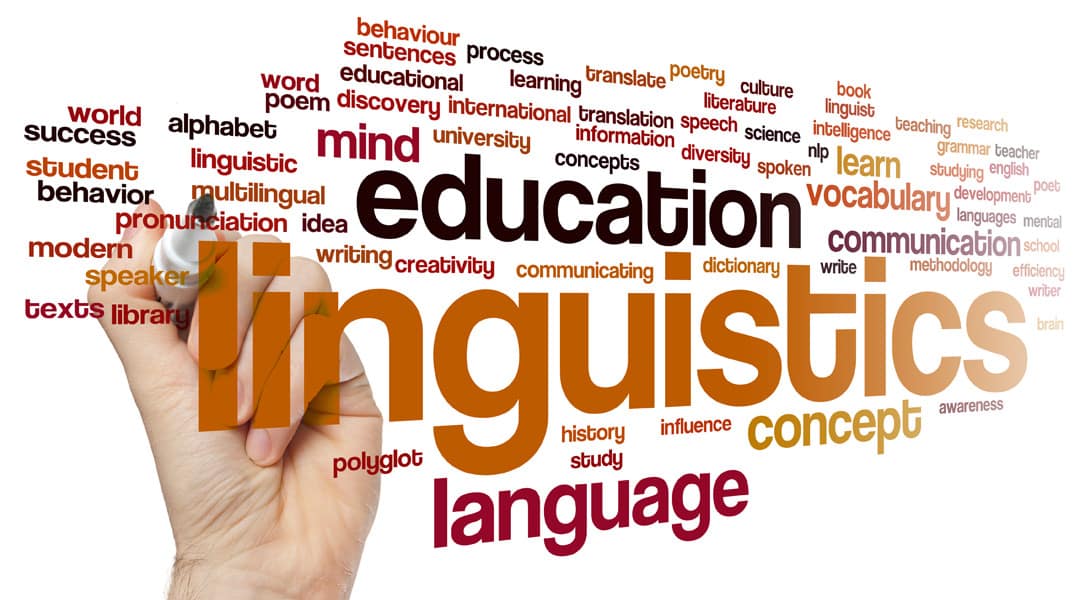 Methodology Teacher Guide: sistema educativo innovador para idiomas