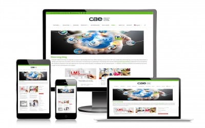 Cómo elegir un proveedor de contenidos de idiomas online