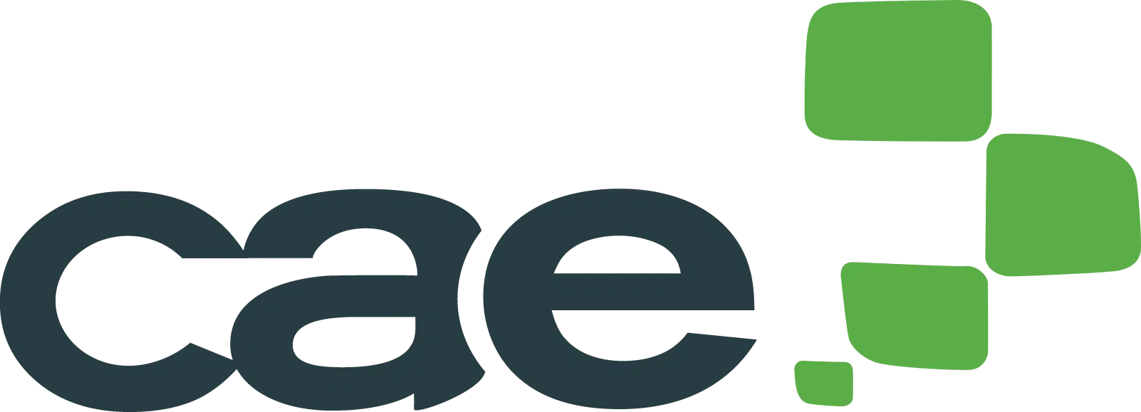 CAE Computer Aided E-learning